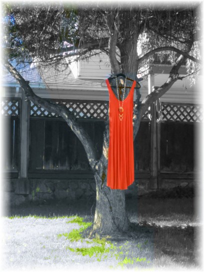 Red Dress Project 3