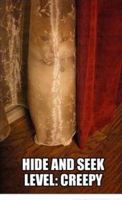 15027964_1612017552236505_4476745851714462670_n