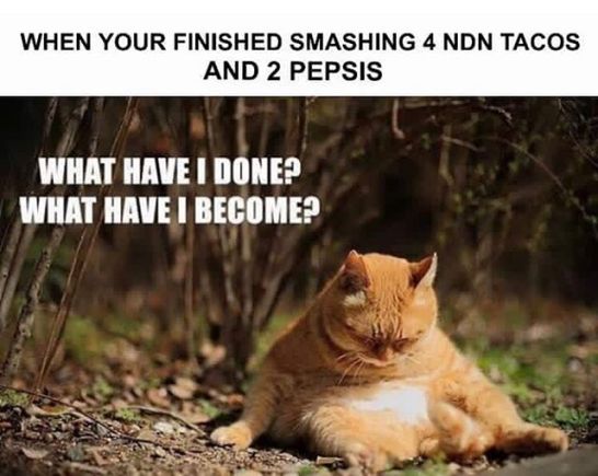 15276685_1108208455964462_364255033912459264_n