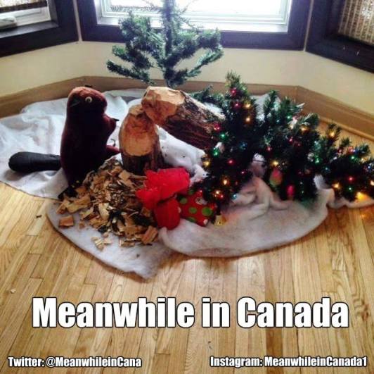 15326343_1184800968233599_2670458020136258328_n