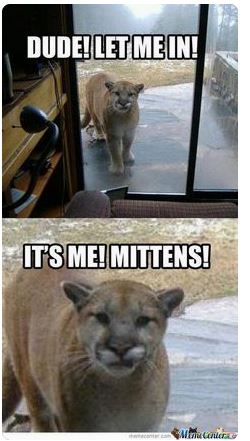 mittens
