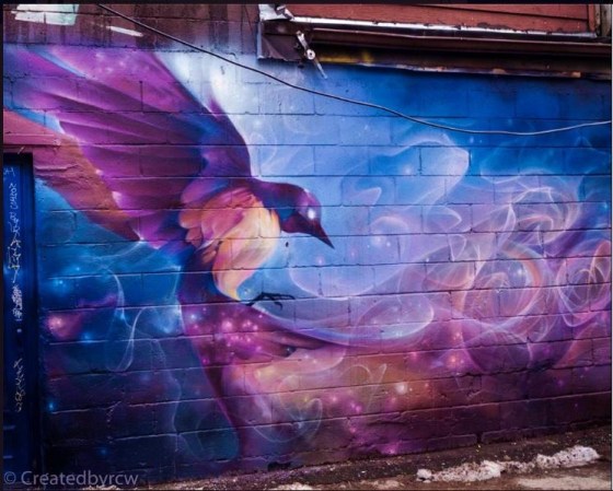 createdbyrcwGlorious colours on a dank day2.jpg